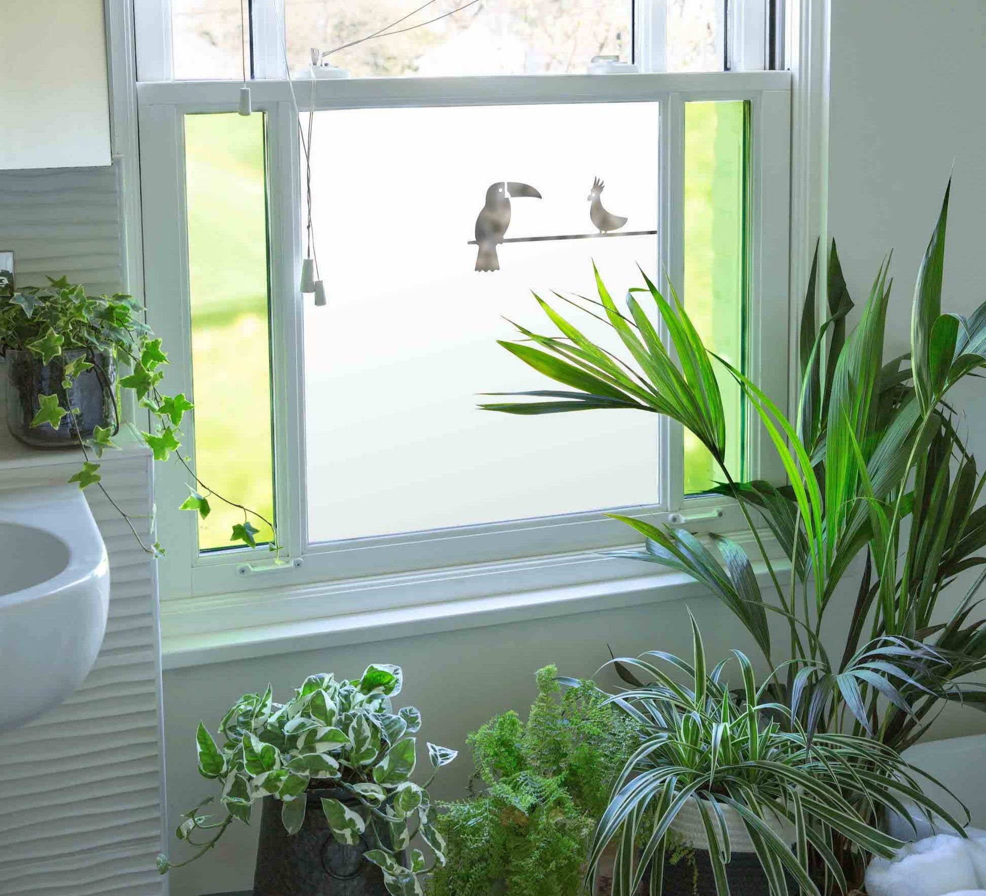 Revitalize Your Home This Spring with Brume Window Film Bespoke Service