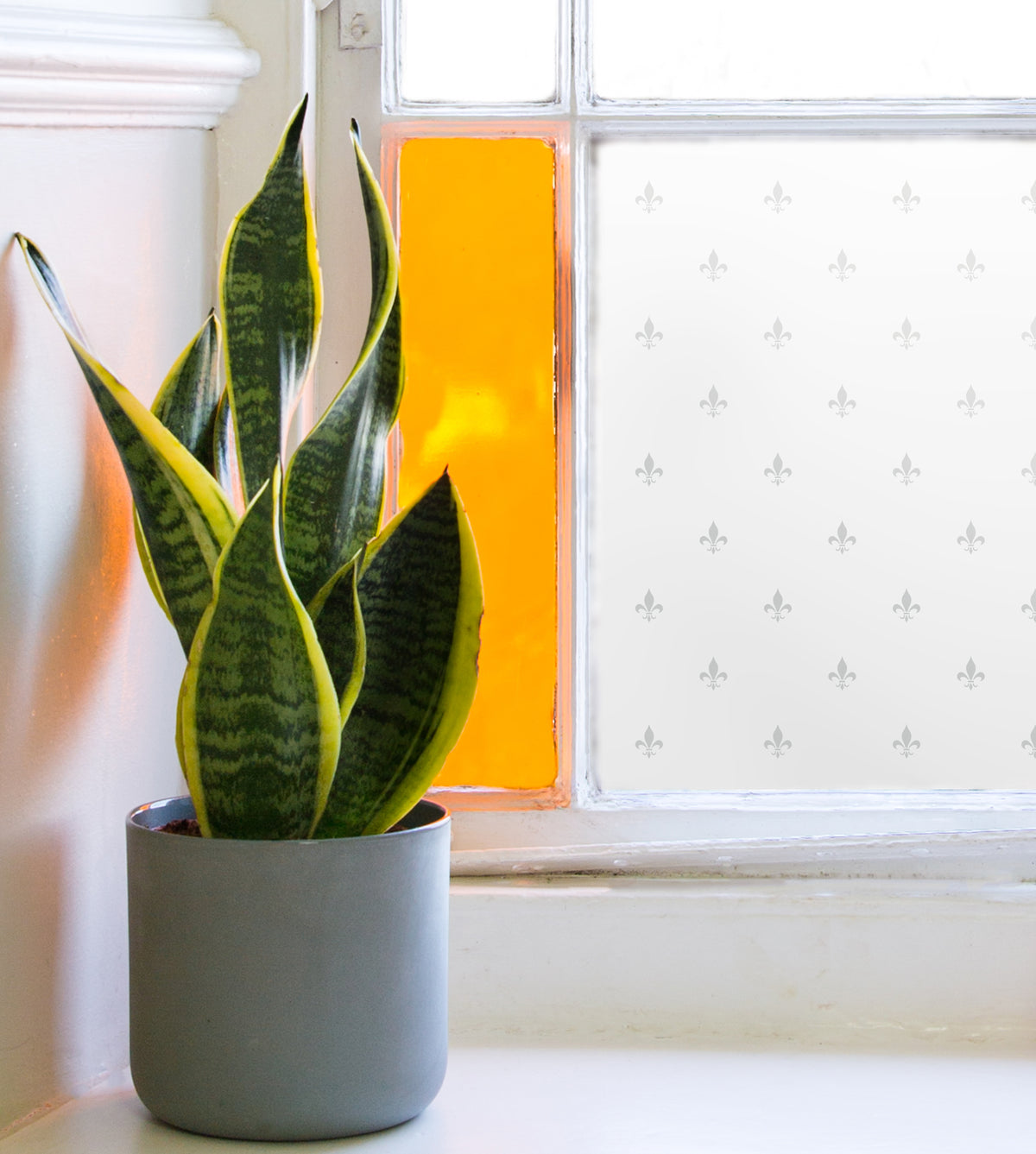 Fleur de Lys patterned window film