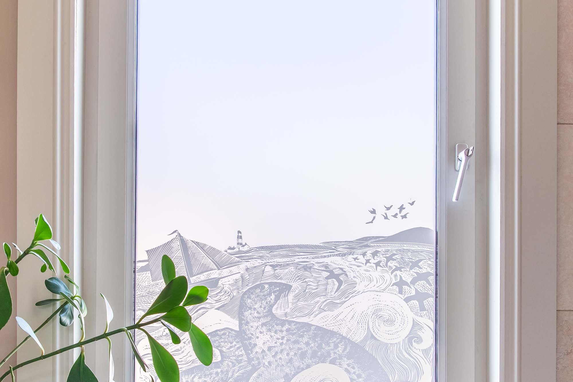 Picture Window Film with seals song illustration by Angela Harding 