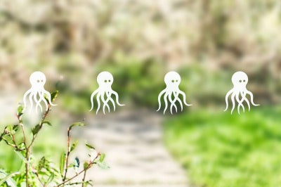 Octopus Safety Stickers.