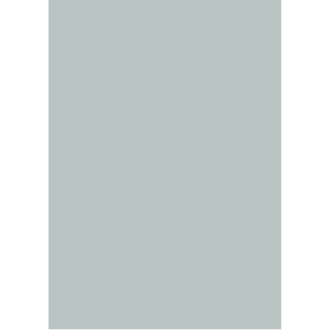 Silver Etch Plain.