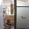 Sausage Dog.