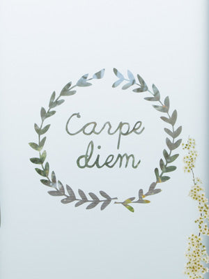 carpe diem.