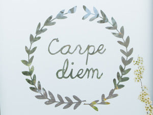 carpe diem.