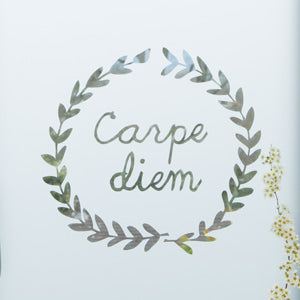 carpe diem.