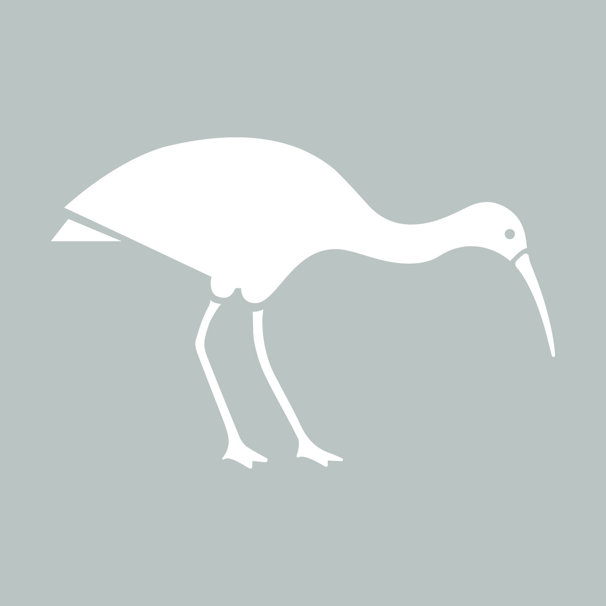 Quirky Bird Collection