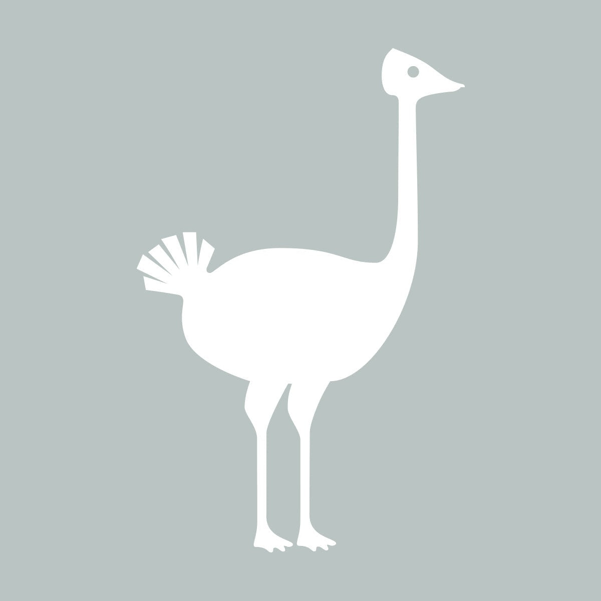 Quirky Bird Collection