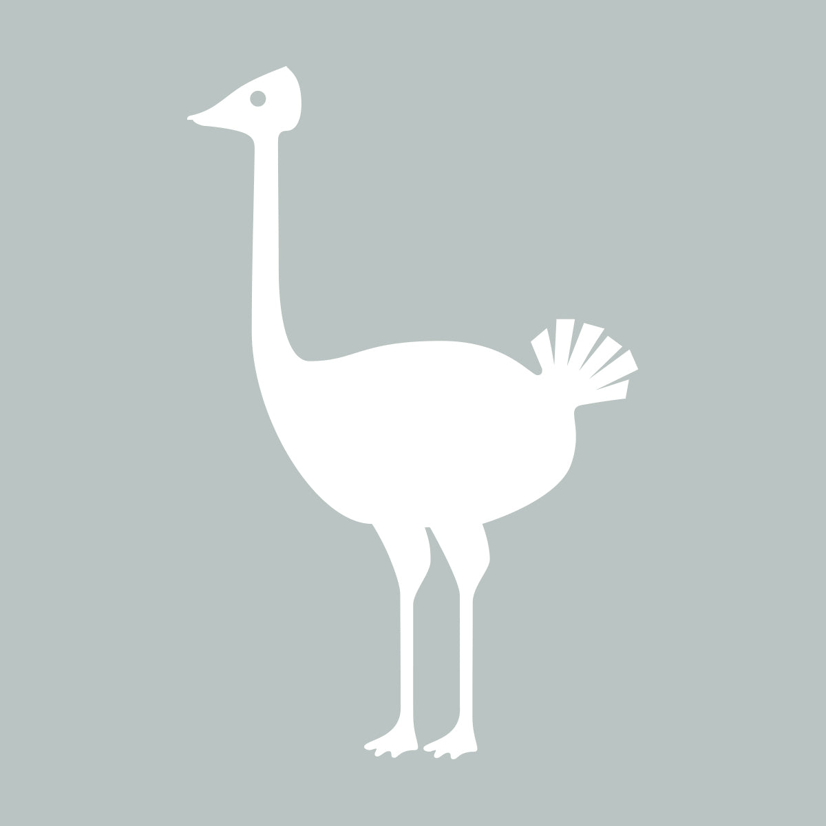Quirky Bird Collection