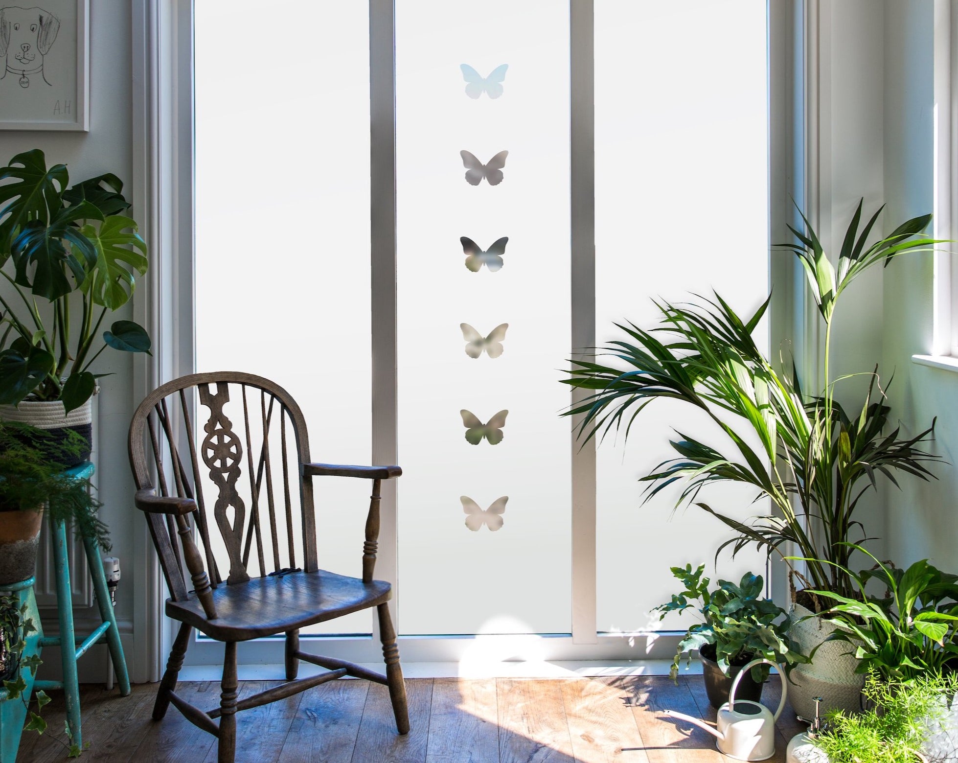 Butterfly Line.