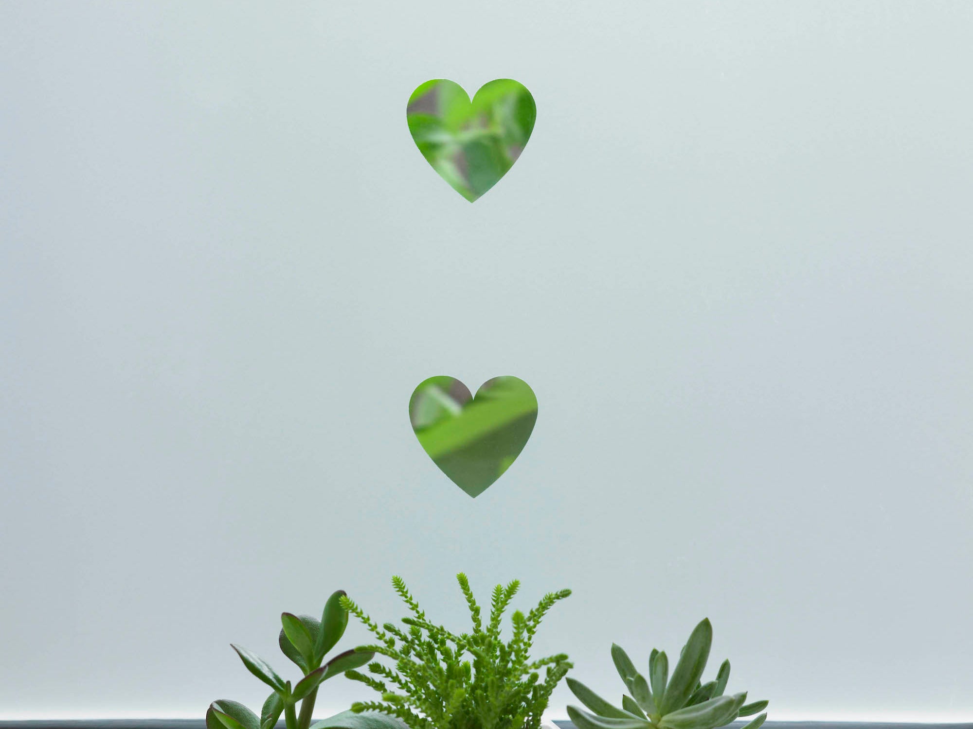 Heart.