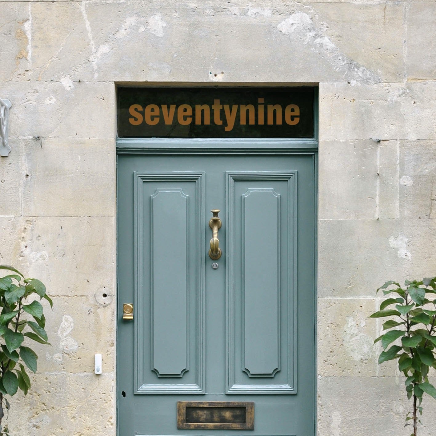 Swiss Written Number-1 Line.