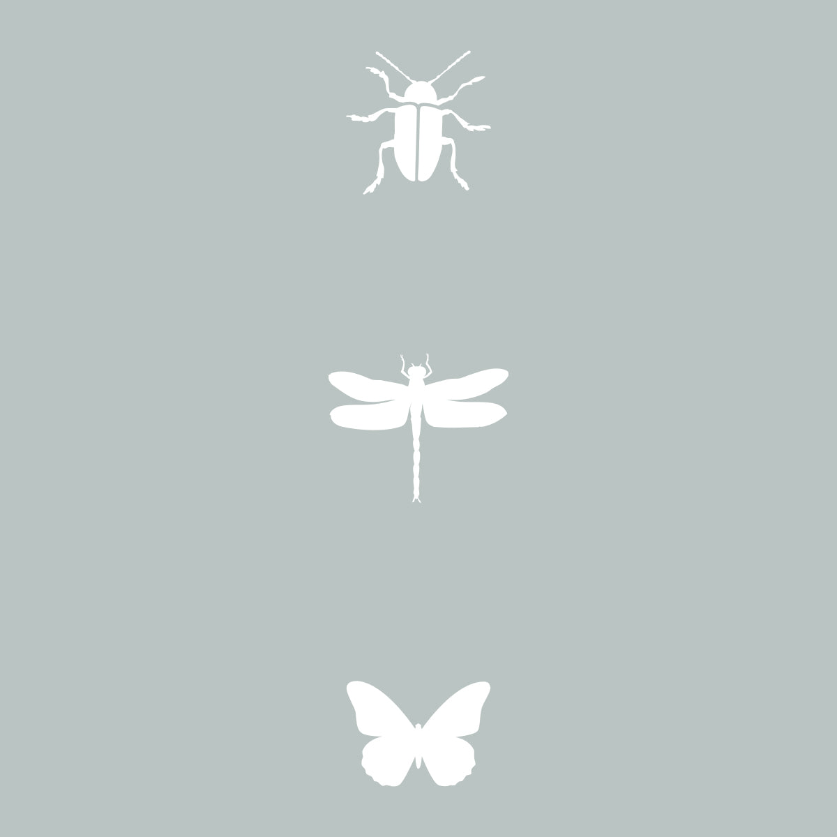 Insect Trio.