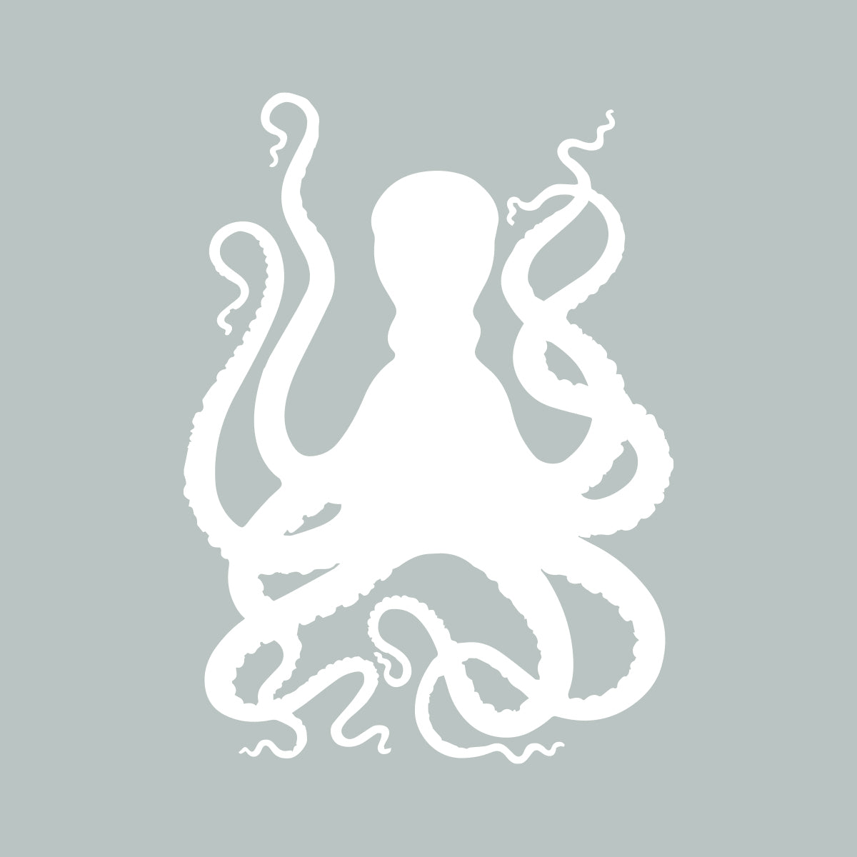 Octopus.