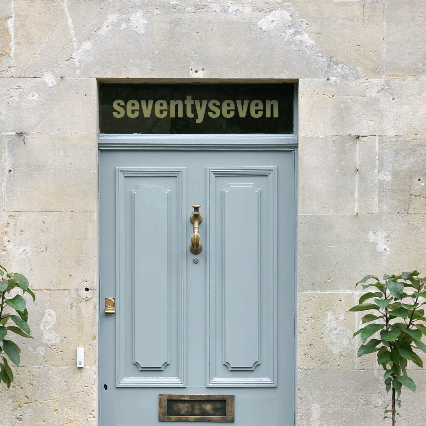 Swiss Written Number-1 Line.